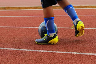 开云登录-蛙泳对决奥地利游出新速度，奥运会蛙游泳决赛视频